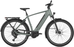 Gazelle Ultimate T11