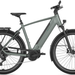 Gazelle Ultimate T11