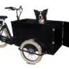 TRIPORTEUR AMSTERDAM AIR EDRIVE SUPER CHIEN